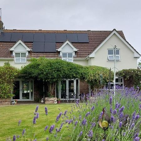 Westwood Lodge B & B بوسطن المظهر الخارجي الصورة