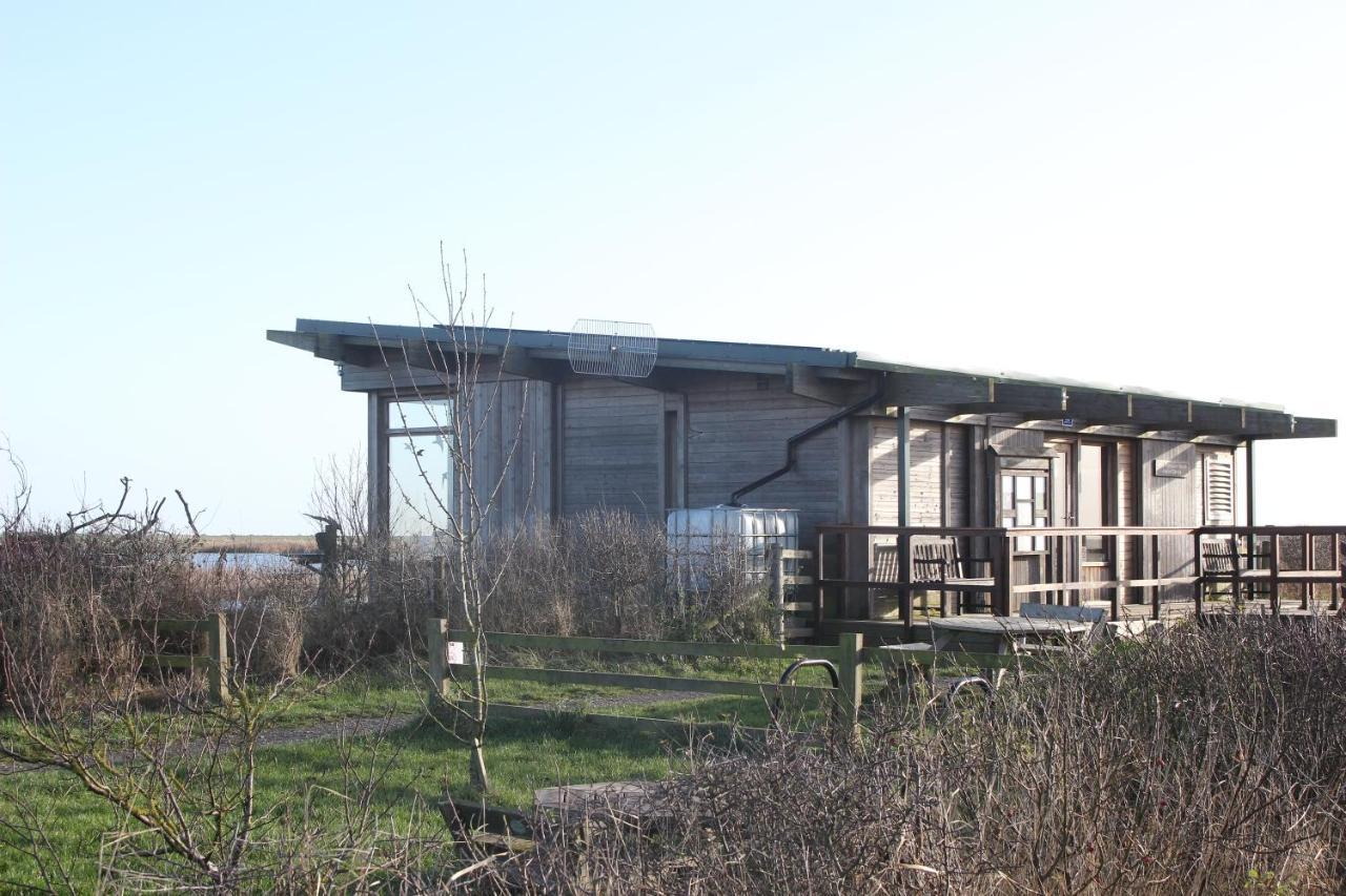 Westwood Lodge B & B بوسطن المظهر الخارجي الصورة